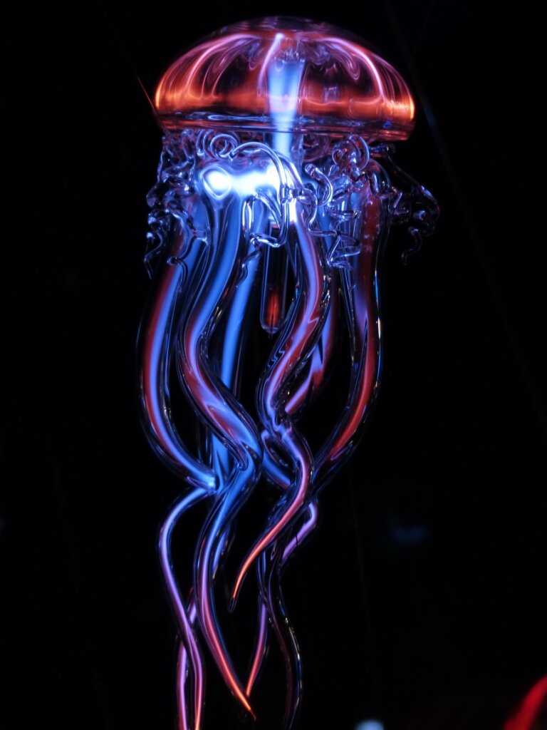 jellyfish-113384_1920