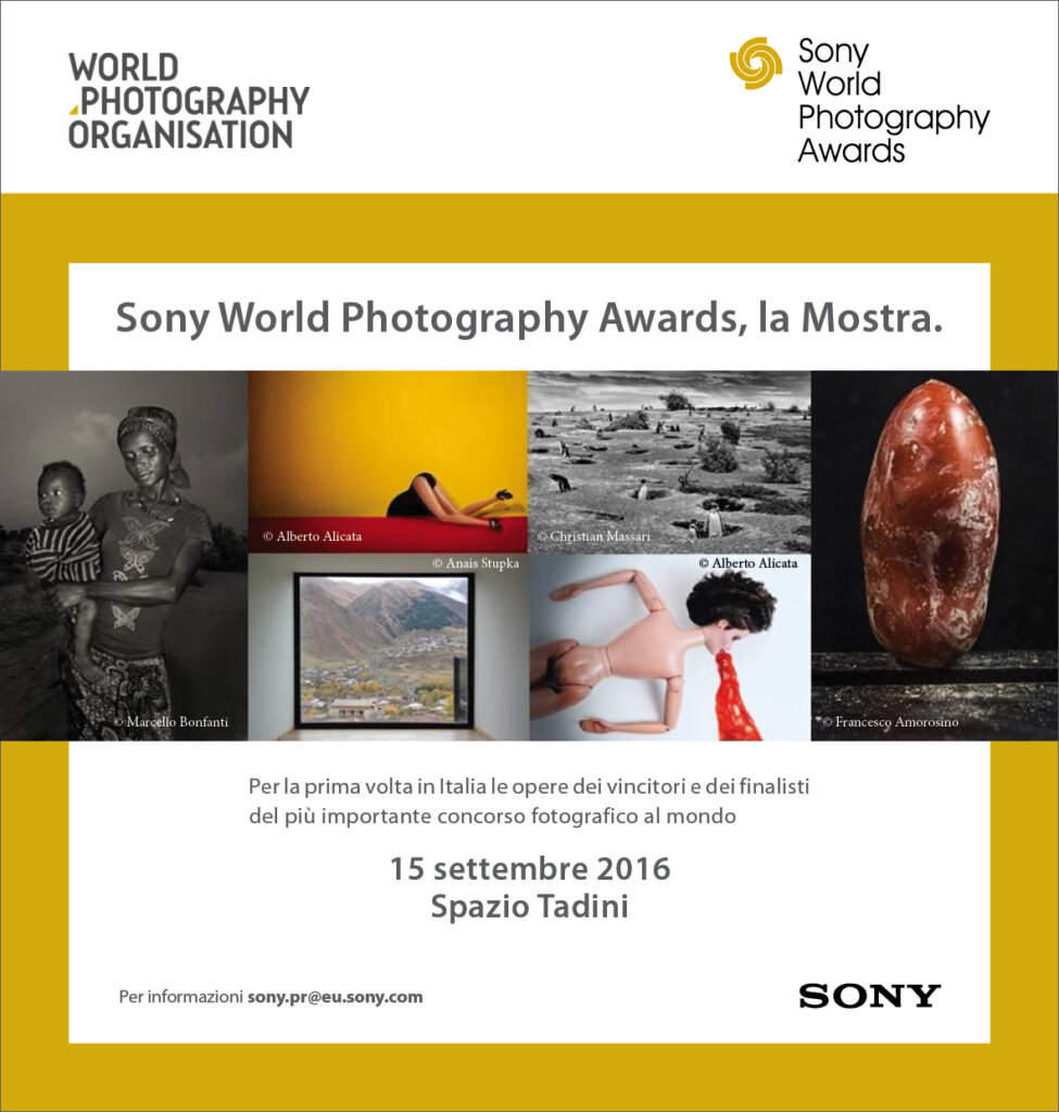 STD Sony World photography Award