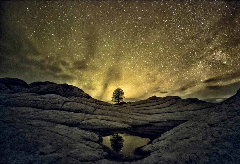 Il Grand Canyon di notte sotto la luce delle stelle nel cielo Foto