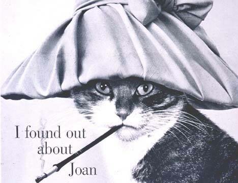 One of Walter's early advertisements, by Ad agency Doyle, Dane and Bernbach for Orbach's clothing store. Cat photograph by © Walter Chandoha