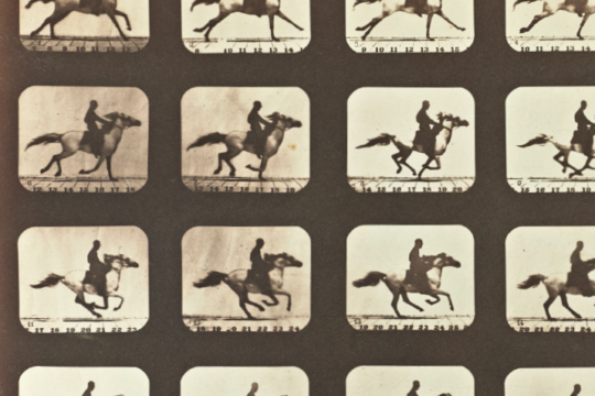 Cavallo in movimento, 1878 - © Eadweard Muybridge/ Wikimedia Commons