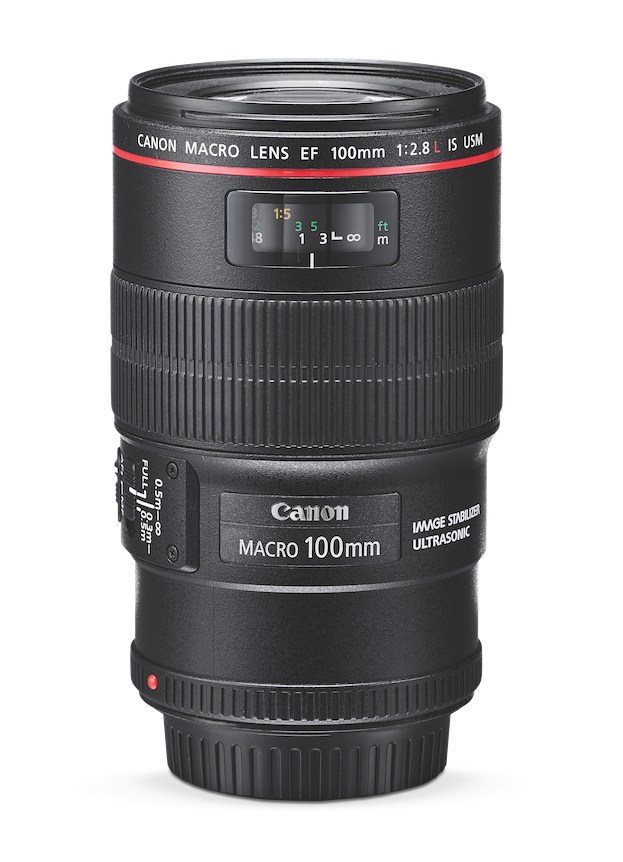 4#Canon EF 100 mm f/2.8 Macro USM