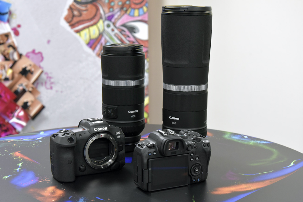 Canon EOS R5 e R6 con obiettivi
