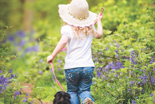 Bambina cammina nel bosco con cane