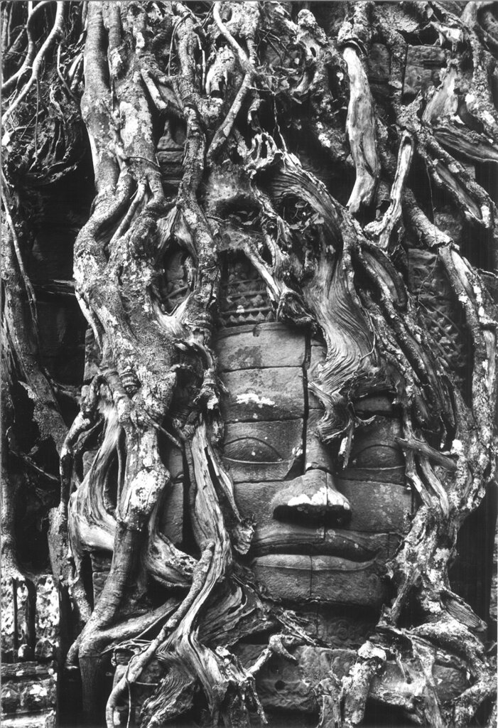 De Biasi, Templi di Angkor Wat