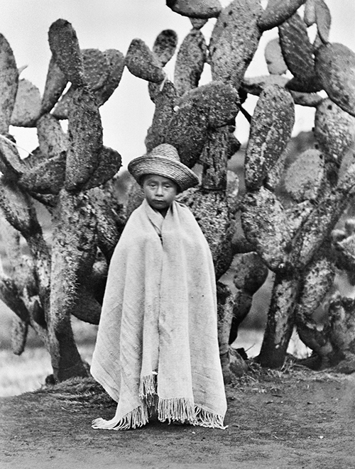 Bambino davanti a un cactus Modotti