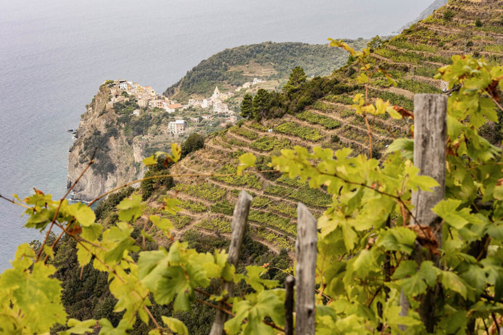 Foto parco nazionale Cinque Terre Jacopo Grassi