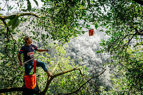 Un addetto alla raccolta degli avocado su un albero. I lavoratori a giornata guadagnano salari così buoni che questa industria è diventata la fonte di reddito più importante del Michoacán, superando anche il denaro inviato a casa dai familiari che vivono all’estero. Dalla serie Green Shades © Axel Javier Sulzbacher