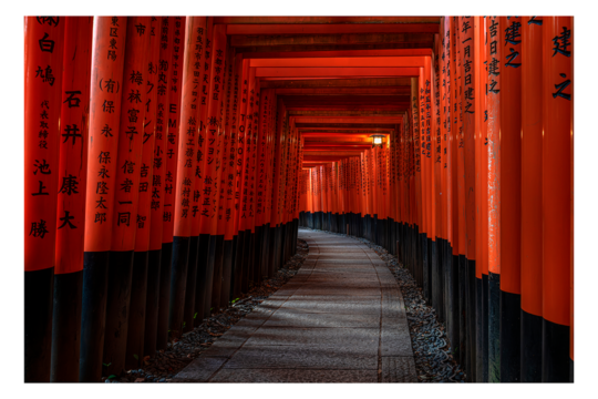 Asia, GIAPPONE, I TORII ROSSI DEL SANTUARIO SHINTOISTA FUSHIMI INARI